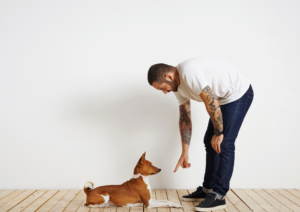 Dog Obedience Training