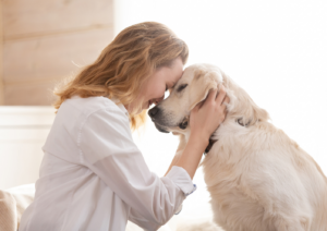 Dog's body language