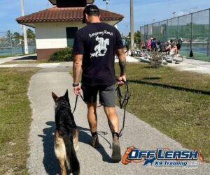 How to stop dog pulling on leash: trainer walks dog outdoors